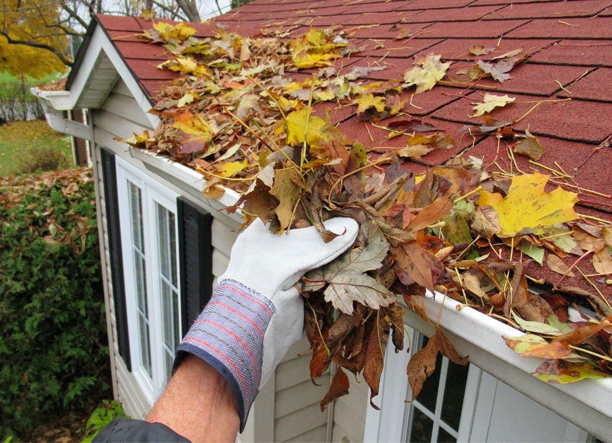 gutter cleaning services in bergen county nj